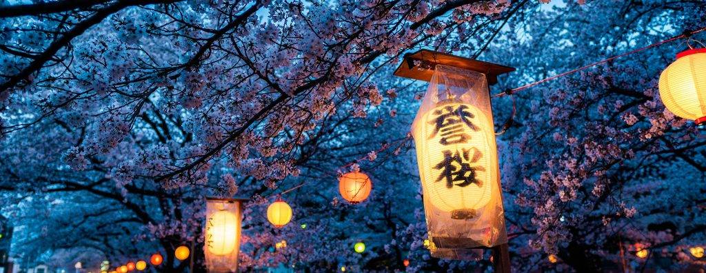 Kokoa travel | japón & maldivas