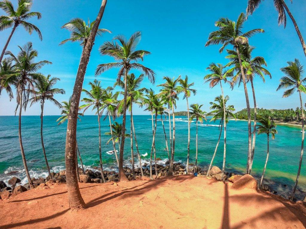 Kokoa travel | esencia de sri lanka