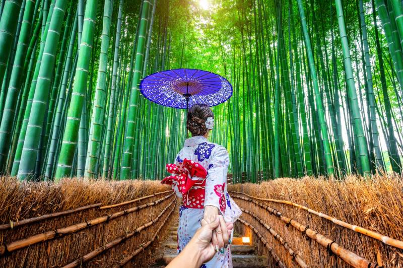Kokoa travel | japón por libre