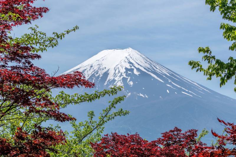 Kokoa travel | japón banzai
