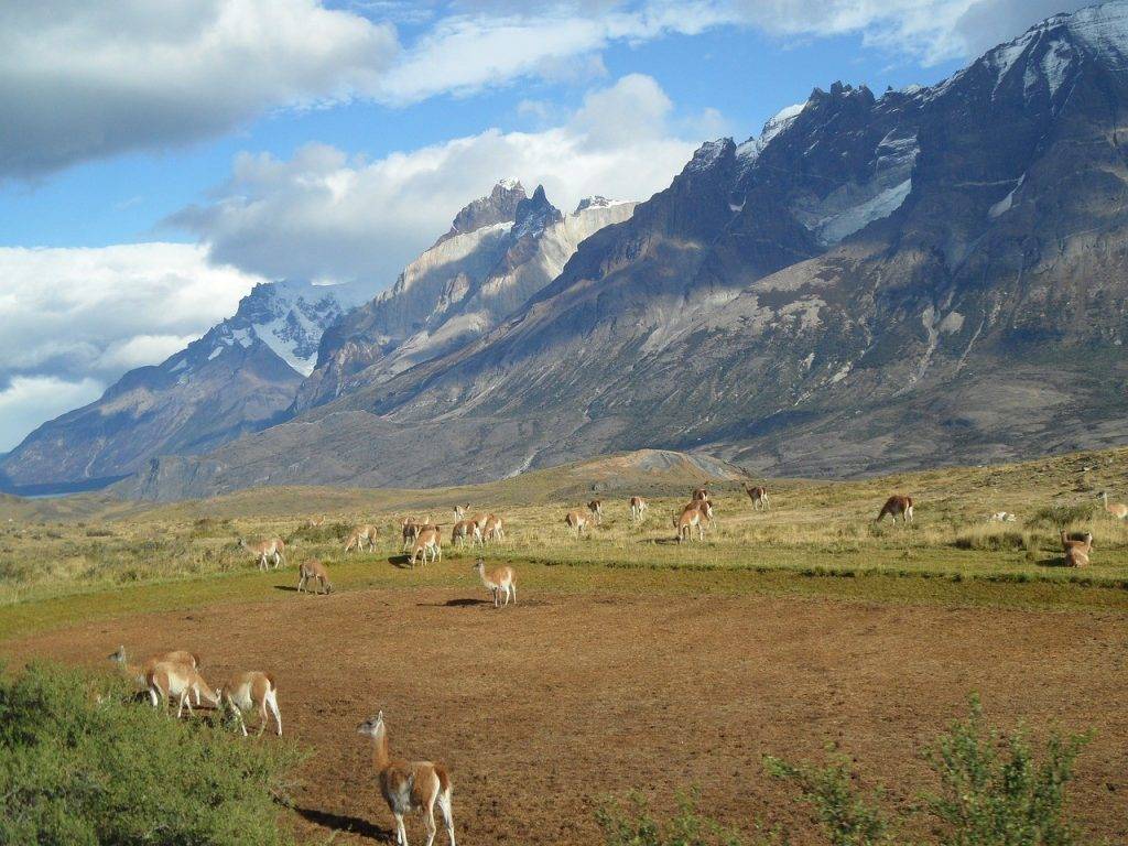 Kokoa travel | argentina
