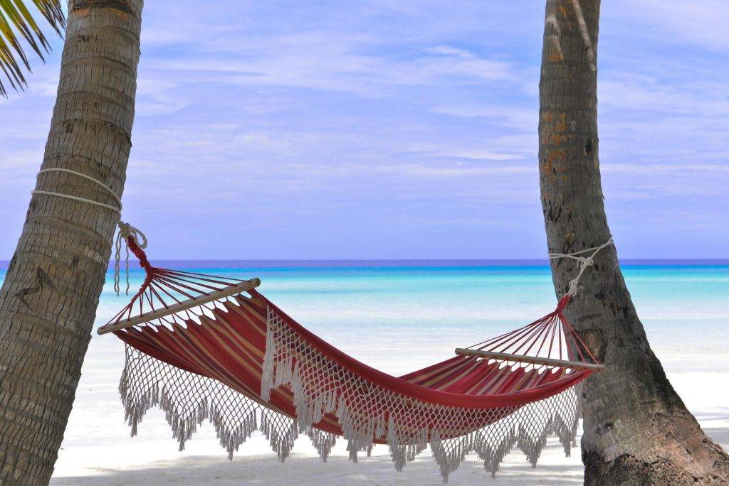 Kokoa travel | republica dominicana