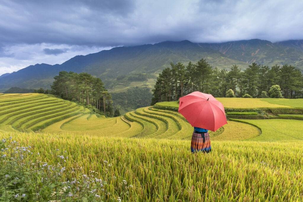 Kokoa travel | vietnam clásico