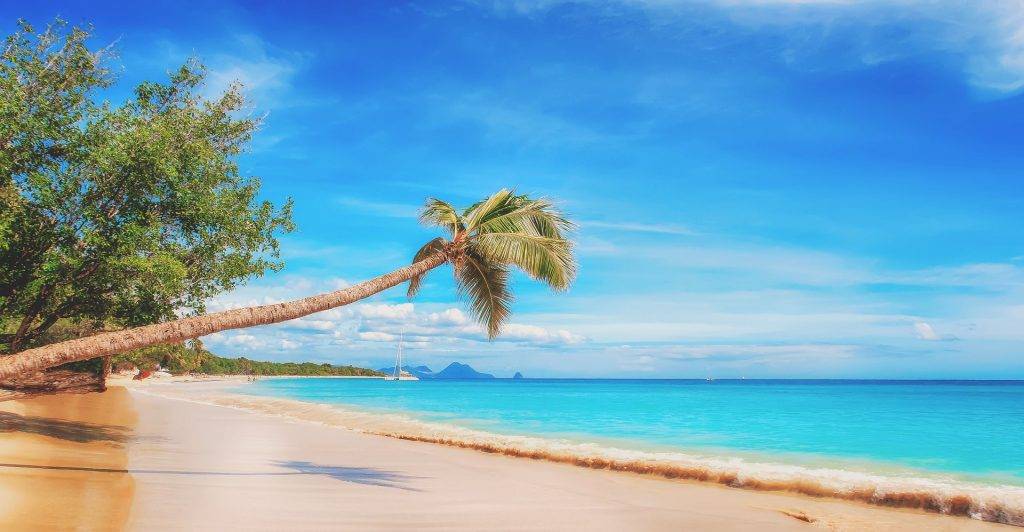 Kokoa travel | riviera maya