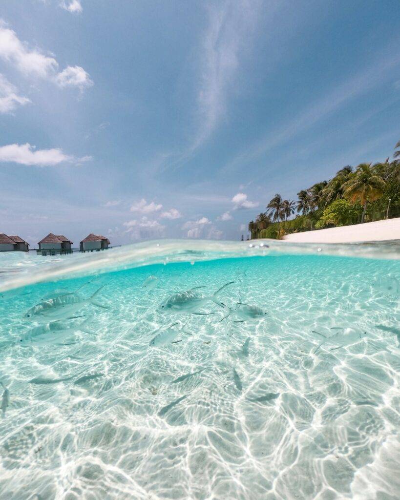 kokoa travel playa blog 1
