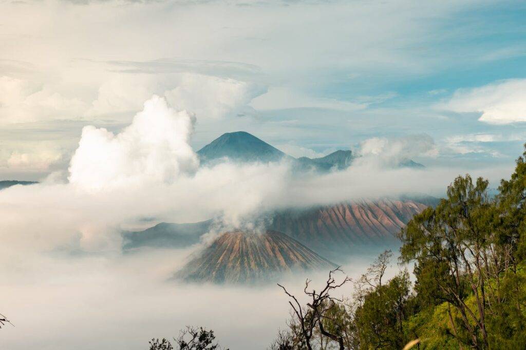 kokoa travel verano indonesia