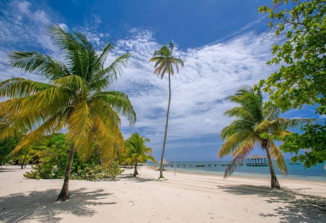 kokoa-agencia-cancun