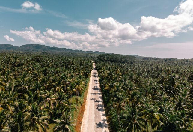 kokoa-agencia-carretera-siargao
