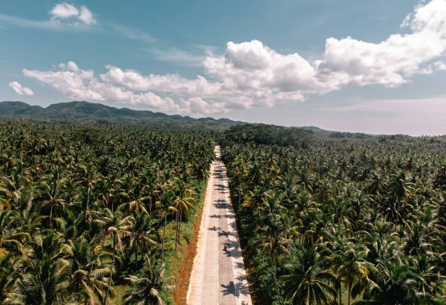 kokoa-agencia-carretera-siargao