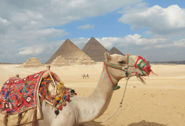 kokoa-agencia-de-viajes-egipto-charm-03