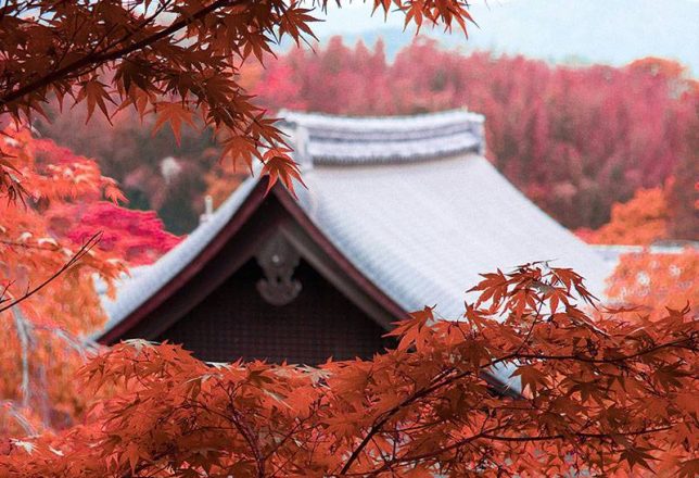 kokoa-agencia-de-viajes-japon-01