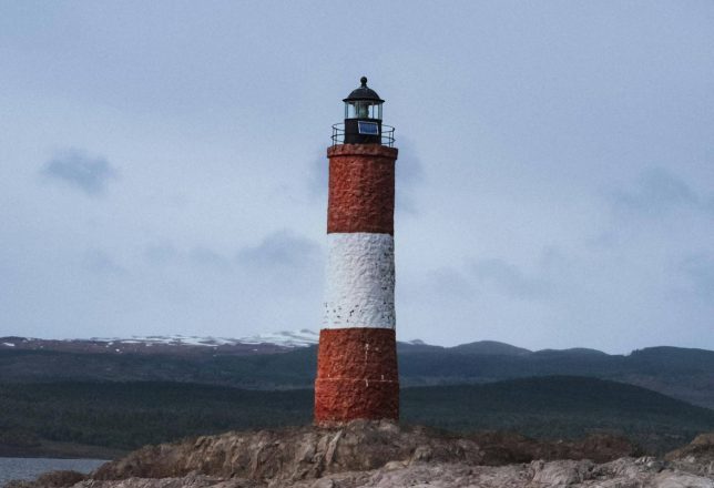 kokoa-agencia-faro-argentina