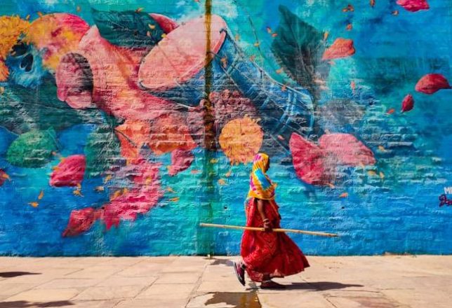 kokoa-agencia-india-espiritual