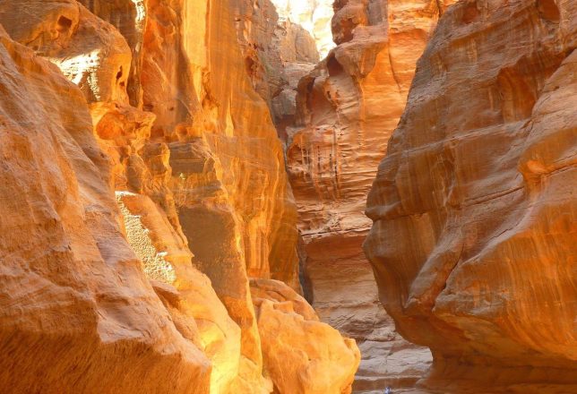 kokoa-agencia-jordania