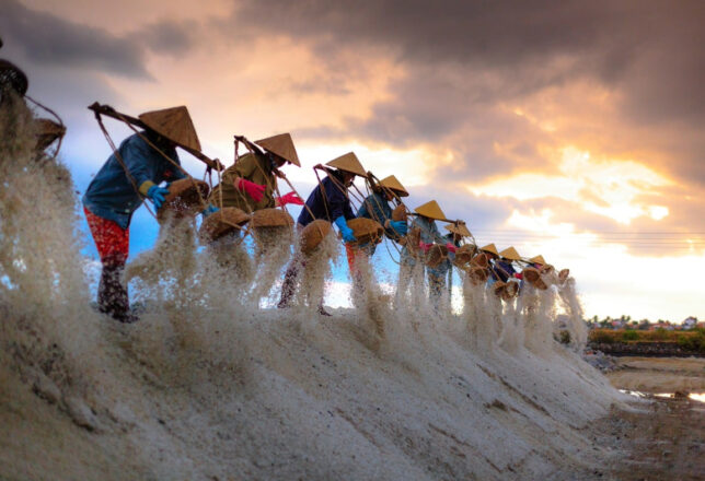 kokoa-agencia-pescadores-vietnam