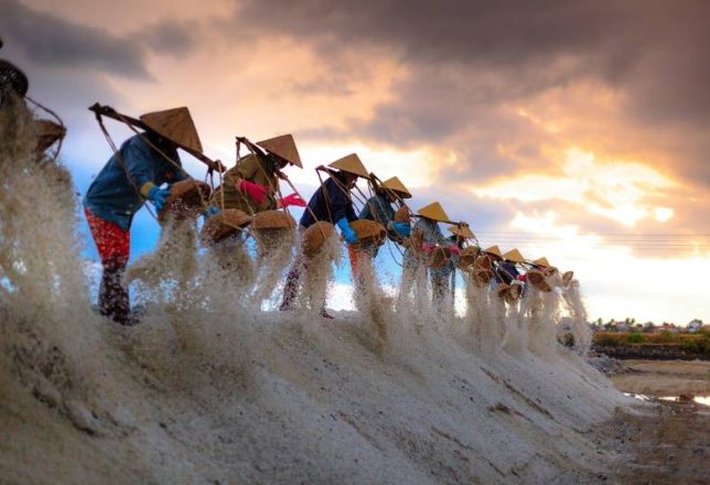kokoa-agencia-pescadores-vietnam