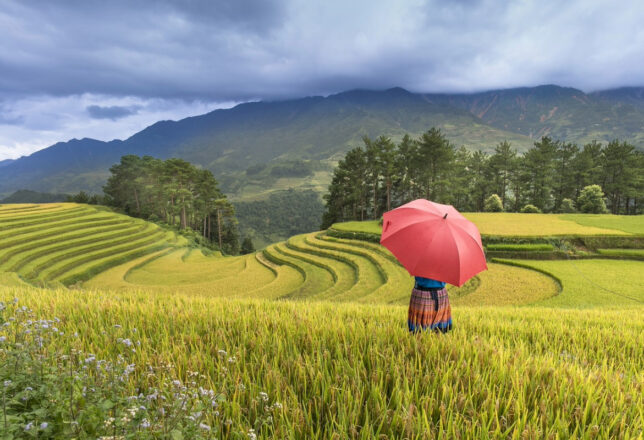 kokoa-agencia-sapa-vietnam