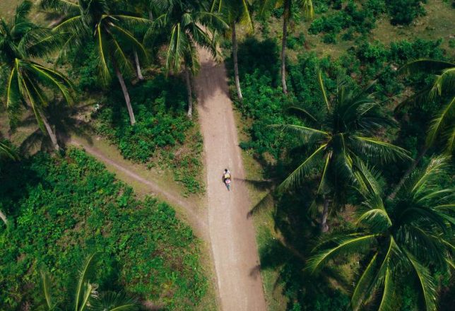 kokoa-agencia-viajes-sri-lanka