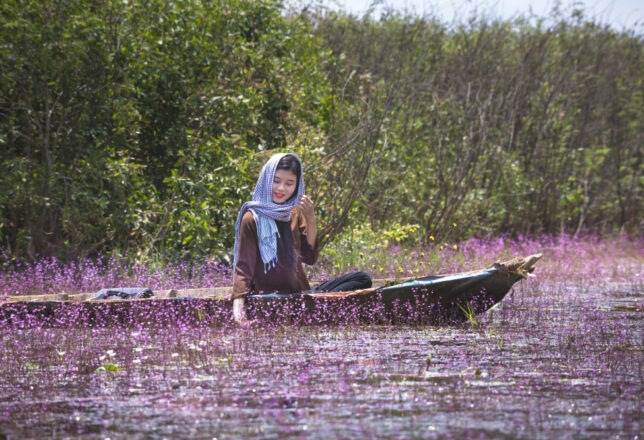kokoa-agencia-vietnam