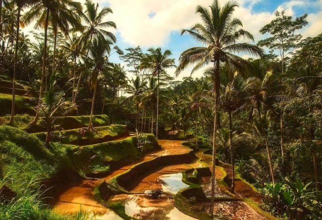 kokoa-travel-agencia-de-viajes-por-el-mundo-circuito-bali-07