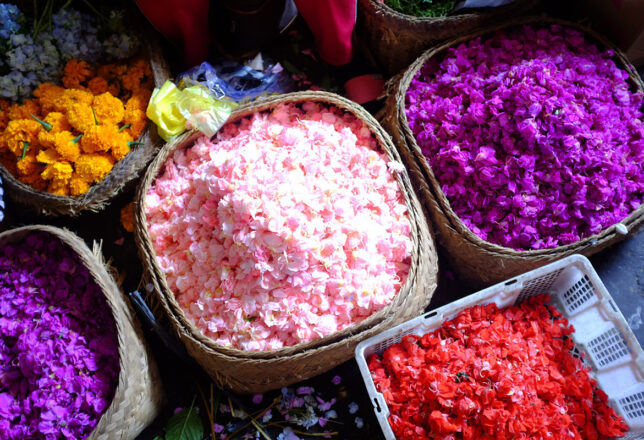 kokoa-travel-agencia-de-viajes-por-el-mundo-indonesia-carrusel-03