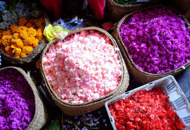 kokoa-travel-agencia-de-viajes-por-el-mundo-indonesia-carrusel-03