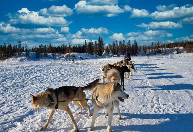 kokoa-travel-laponia-15