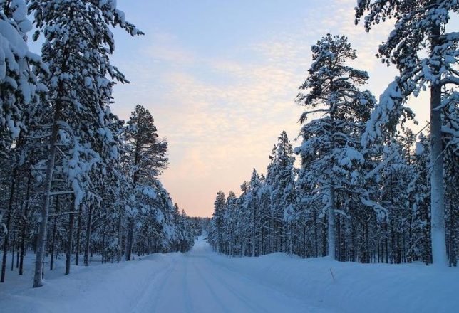 kokoa-travel-laponia-17