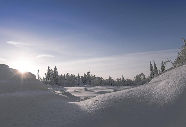 kokoa-travel-laponia-18