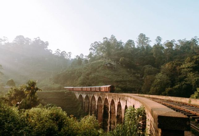 kokoa-tren-sri-lanka
